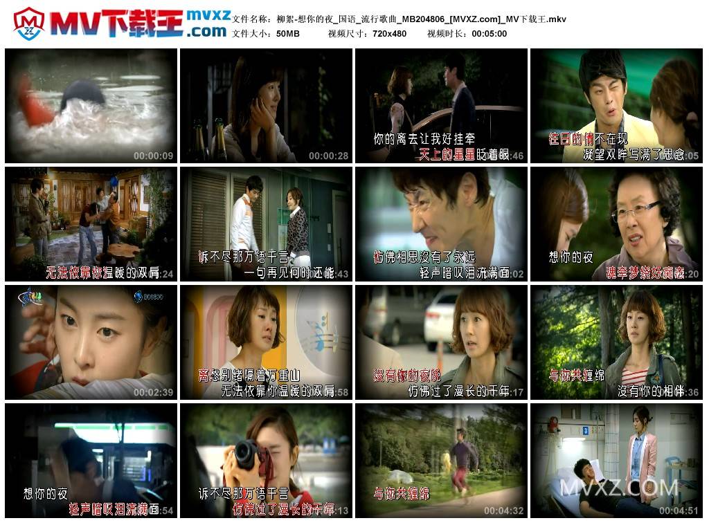 柳絮-想你的夜_国语_流行歌曲_MB204806